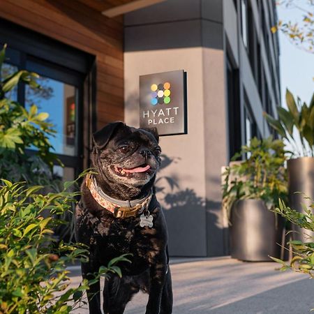 Hyatt Place Atlanta/Perimeter Center Санди-Спрингс Экстерьер фото